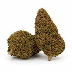 SOUR TANGIE 8% CBD - Invernadero