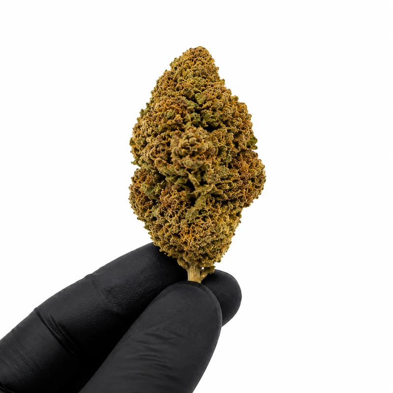 SWEET KARMA 5.95% CBD - Invernadero