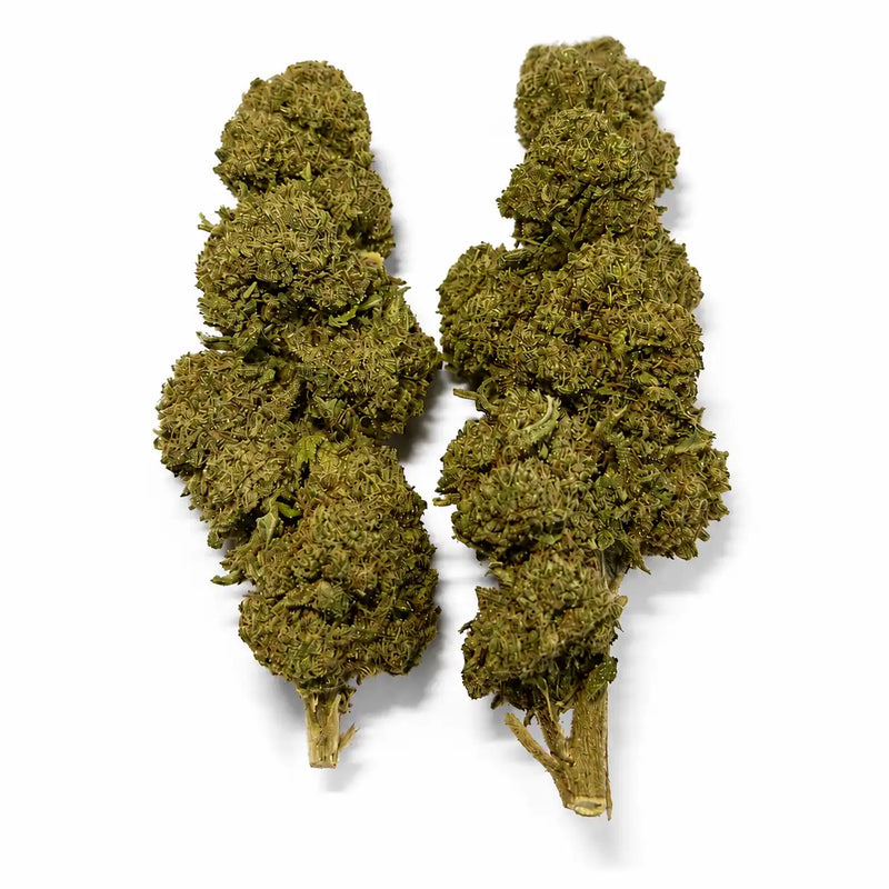 TANGIETONIC 9.24% CBD - Glass House