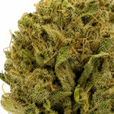 TANGIETONIC 9.24% CBD - Glass House
