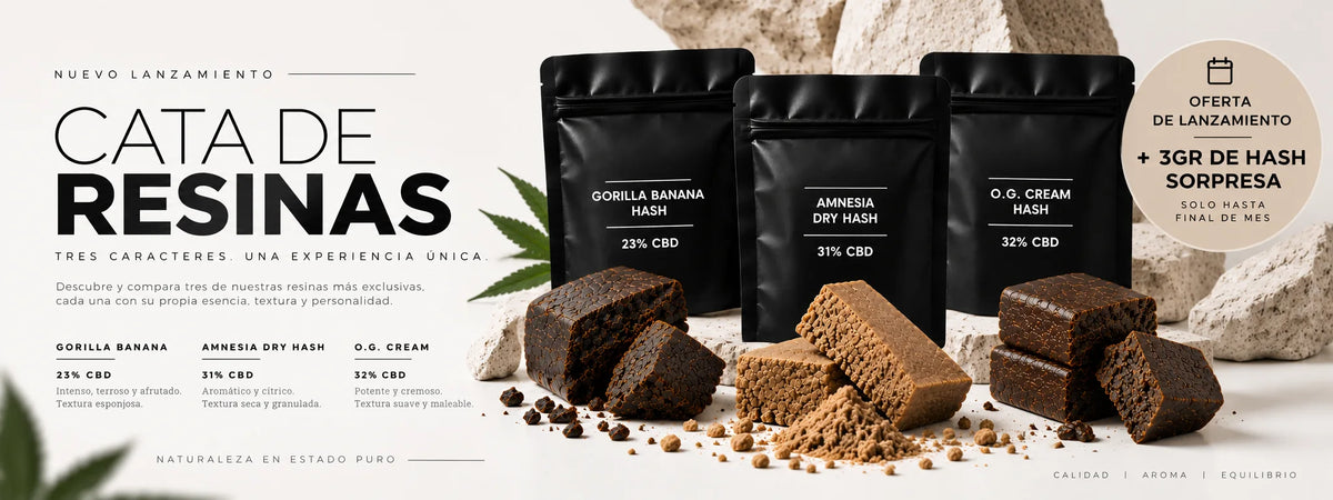 Cata de Resinas CBD: Gorilla Banana Hash 23%, Amnesia Dry Hash 31% y O.G. Cream Hash 32%. Oferta de lanzamiento: 3 g de hash sorpresa hasta final de mes