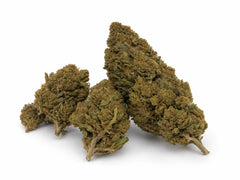 Double Cinnamon 15,2% CBD - Glass House
