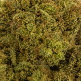 ALIEN FRUIT 9.07% CBD - Indoor