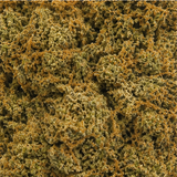 BLUEBERRY 5.24% CBD - Indoor