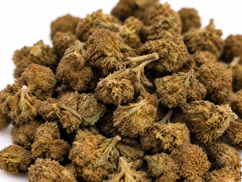 Cherry bomb 19,8% de CBD solo en CogolloCBD.es