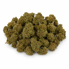 Mini Flores GELATO 4.13% CBD - Interior