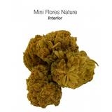 MINI FLORES NATURE 3,8% CBD – INTERIOR