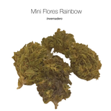Mini Flores RAINBOW 7.23% CBD - Invernadero
