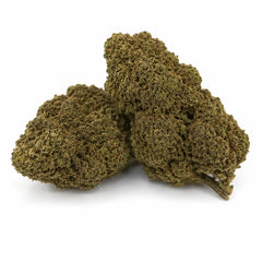 PLUTONIUM 7.6% CBD - Interior