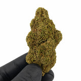 PLUTONIUM 7.6% CBD - Interior