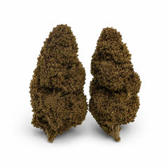 ROYAL RUNTZ 16.3% CBD - Interior
