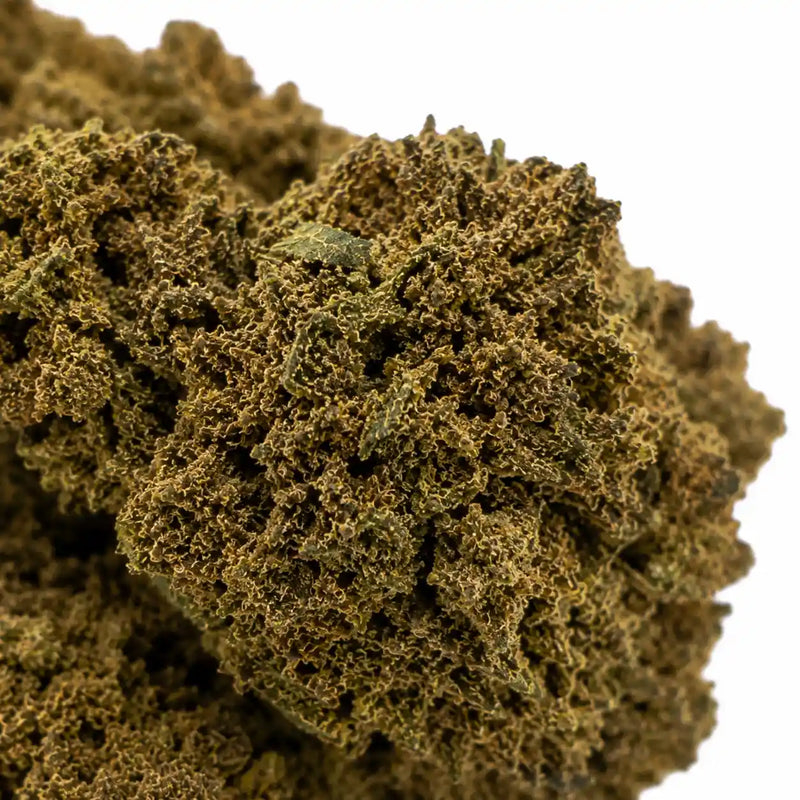 ROYAL RUNTZ 16.3% CBD - Interior