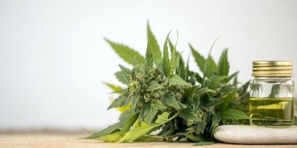 ¿Es el CBD legal en España? Guía actualizada 2026 sobre su legalidad, usos y venta