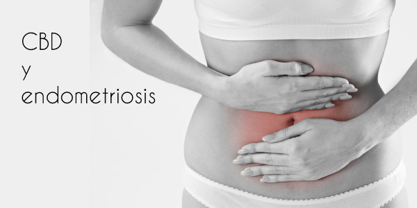 “Tengo endometriosis, ¿el CBD puede ayudarme?” Te contamos todos los beneficios del cannabidiol para tratar este trastorno