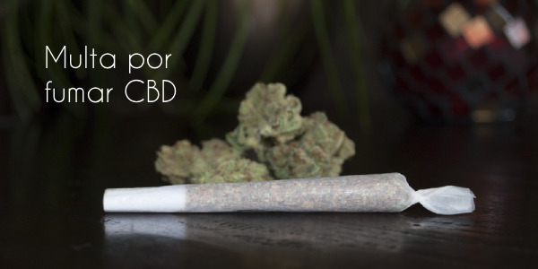 [Multa por fumar CBD] ¿Se puede fumar CBD por la calle? Te contamos qué dice la ley