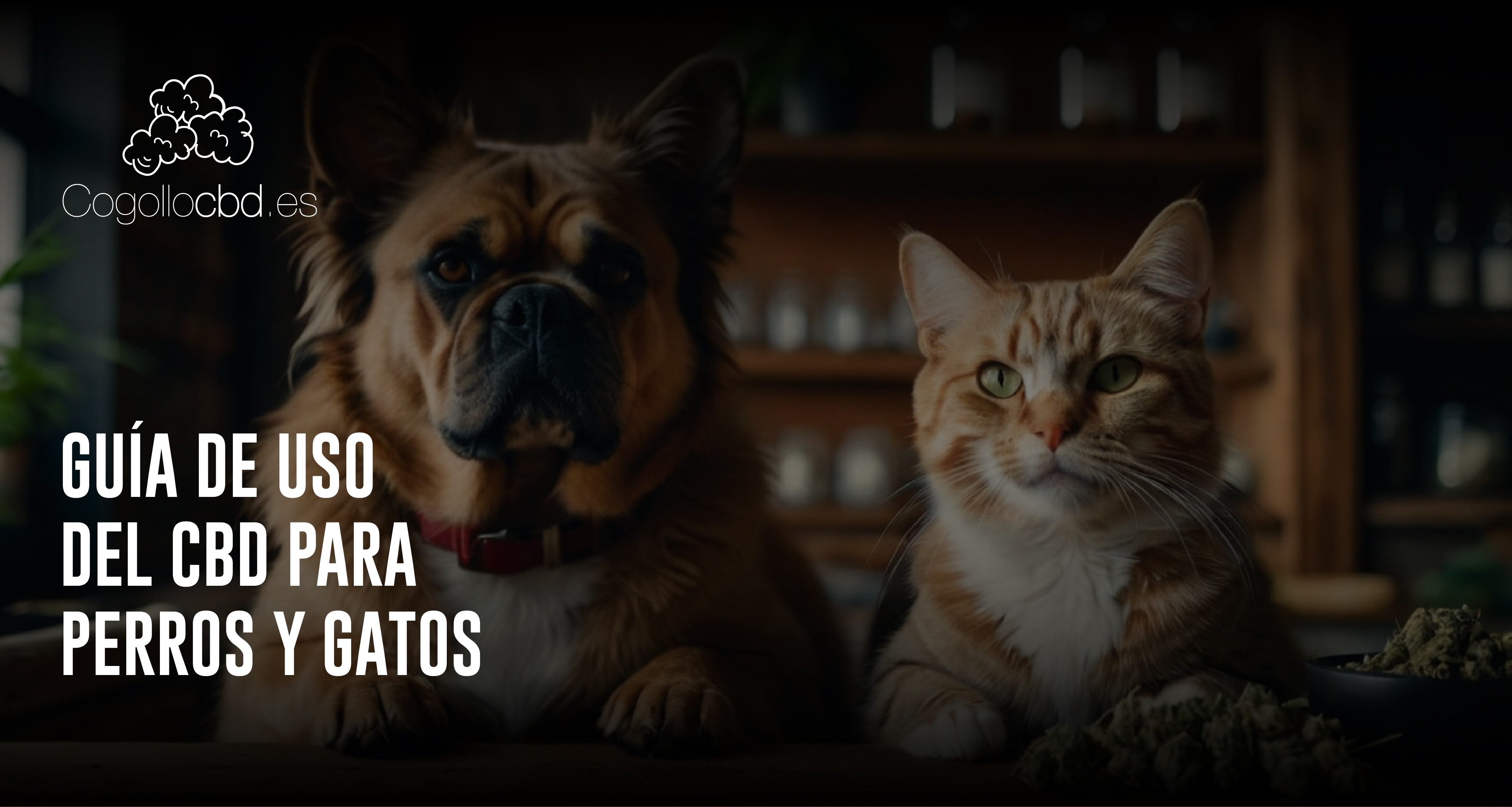Guía de uso del CBD para perros y gatos