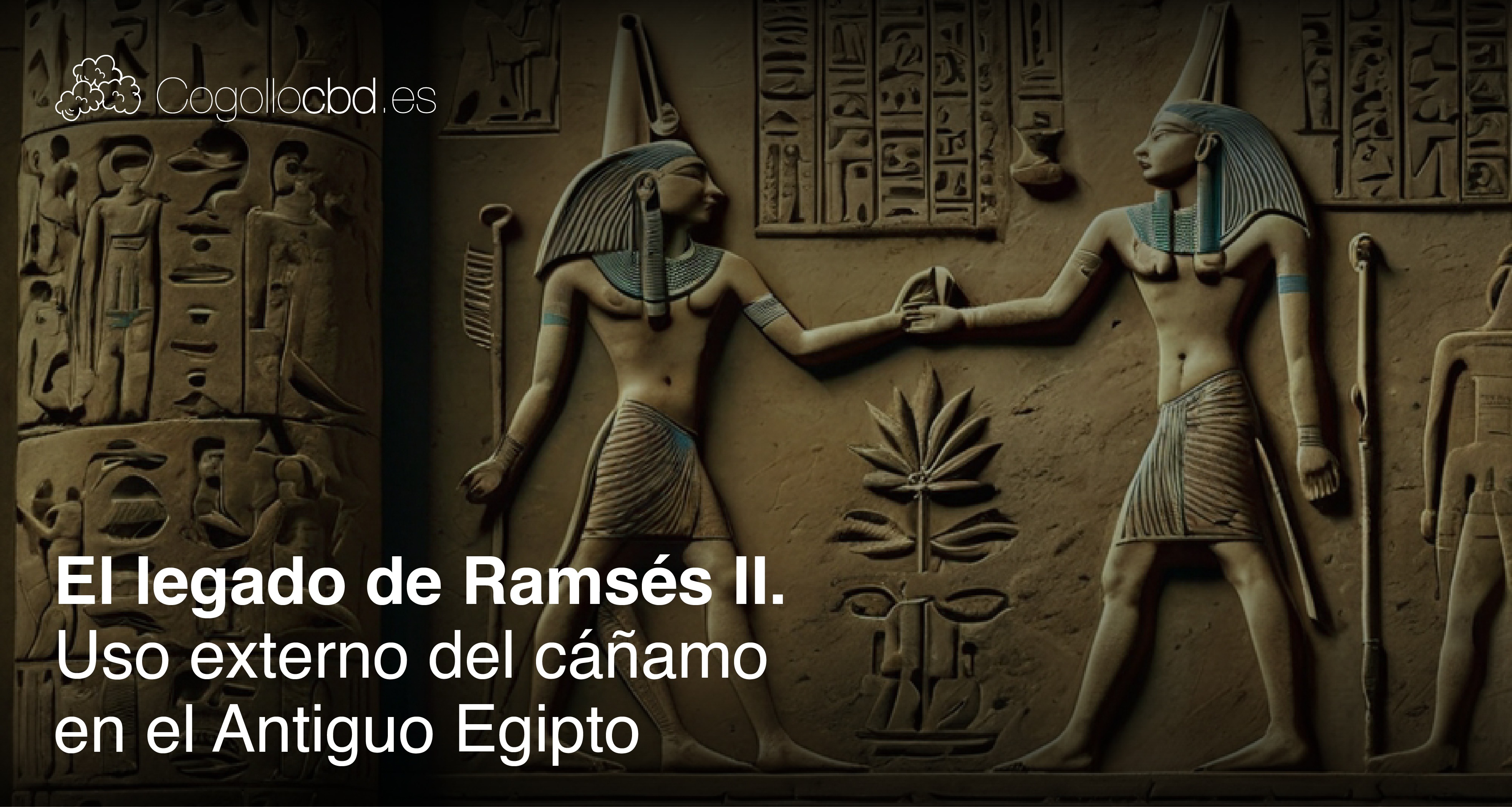 El legado de Ramsés II. Uso externo del cáñamo en el Antiguo Egipto