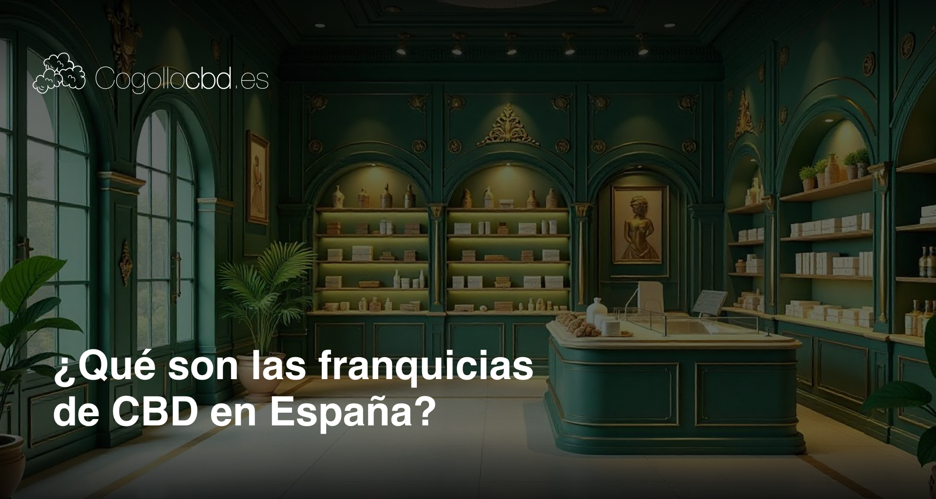 ¿Qué son las franquicias de CBD en España?