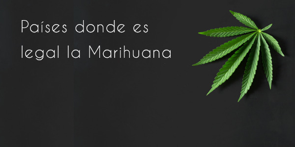 ¿Dónde es legal la Marihuana? 5 Países que ya han tomado medidas para su legalización (+ la situación en España)