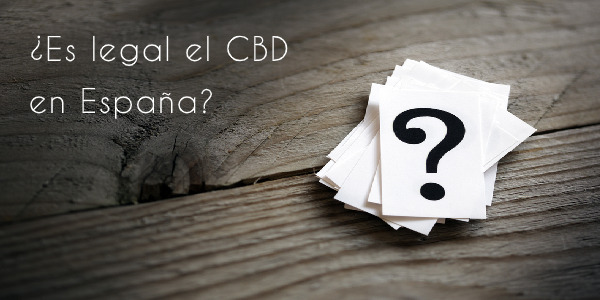 ¿Cuál es la situación legal del CBD en España? Las claves para no saltarte la ley con el cannabidiol